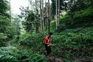 BIB: 
                            <button type="button" onclick="openModal(26357276)" class="btn btn-primary btn-sm float-right btn-popup" data-toggle="modal" data-target=".modal-high-quality">
                        <i class="fas fa-shopping-cart"></i> Add to Cart
                    </button>
                                            <button type="button" onclick="isThisMe(26357276, true)" class="btn btn-success btn-sm float-right btn-popup btn-isme hidden" data-toggle="tooltip" data-placement="bottom" title="นี่คือรูปของคุณใช่ไหม คลิกที่นี่เพื่อเอาเข้าอัลบั้ม">
                        <i class="fas fa-plus"></i> Add to album
                    </button>
                    <button type="button" onclick="isThisMe(26357276, false)" class="btn btn-warning btn-sm float-right btn-popup btn-isnotme hidden">
                        <i class="fas fa-ban"></i> Remove from album
                    </button>